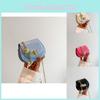 Fashionable Autumn Mini Bag For Women Chic Saddle Shape With Chain Strap