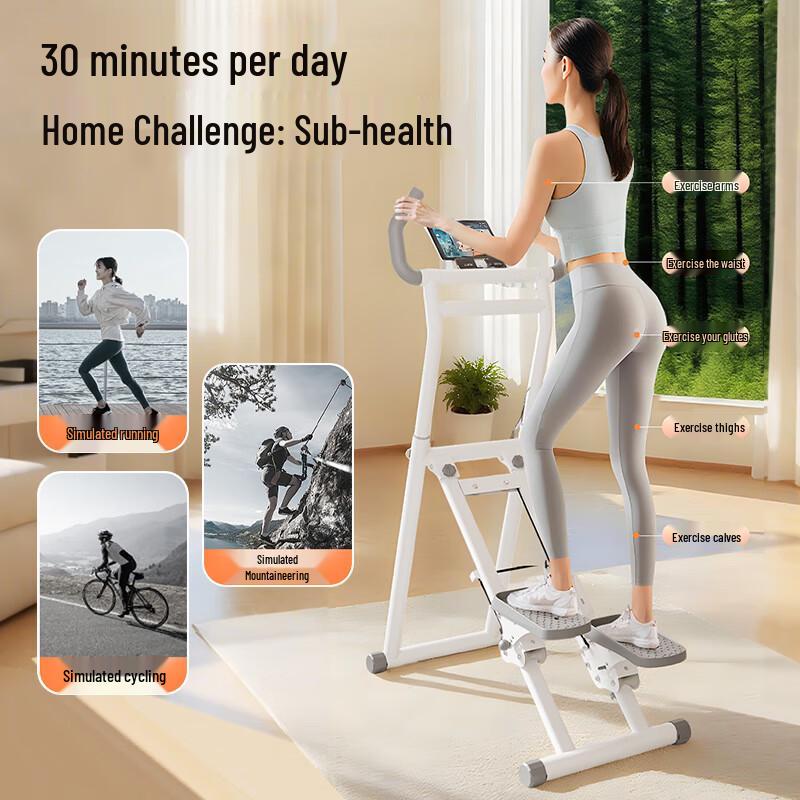 KOGER Multi-Function Stair Climber