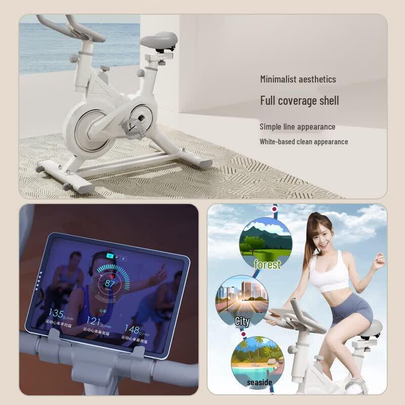 Brangdy Home Exercise Bike