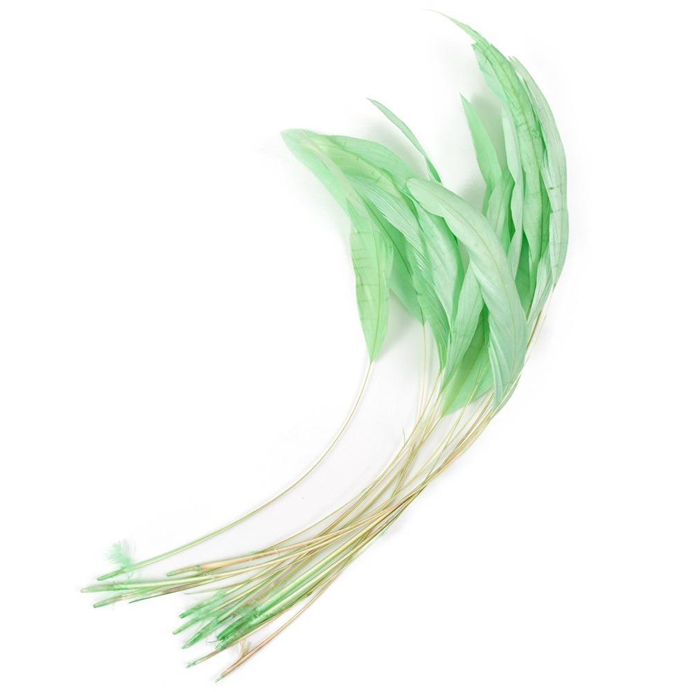10Pcs Natural Feather Rooster Feather Multicolor Craft Feathers Wedding Decor