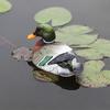 Realistic Mandarin Duck Statue Fine Symbol Resin Art Craft Mandarin Duck Ornament for Pool  -Yx