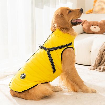 Giyim ve ayakkabı – Köpekler için yelekler ve gömlekler