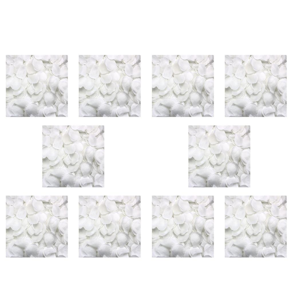 ABUL-5000 Rose Petals Scattered White Decoration Wedding Party