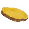 Reptile Food Basin Imitation Bark Lizard Sea Turtle Food Basin for Aquariums Fish Tank
