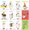 VERBS Hard Level Catch The Chicken English Card Game English Verb Flash Card Game Action English Card Game