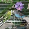 Multi-Level Bird Cage Platform Durable Climbing Ladder Interactive Parrot Station  Indoor