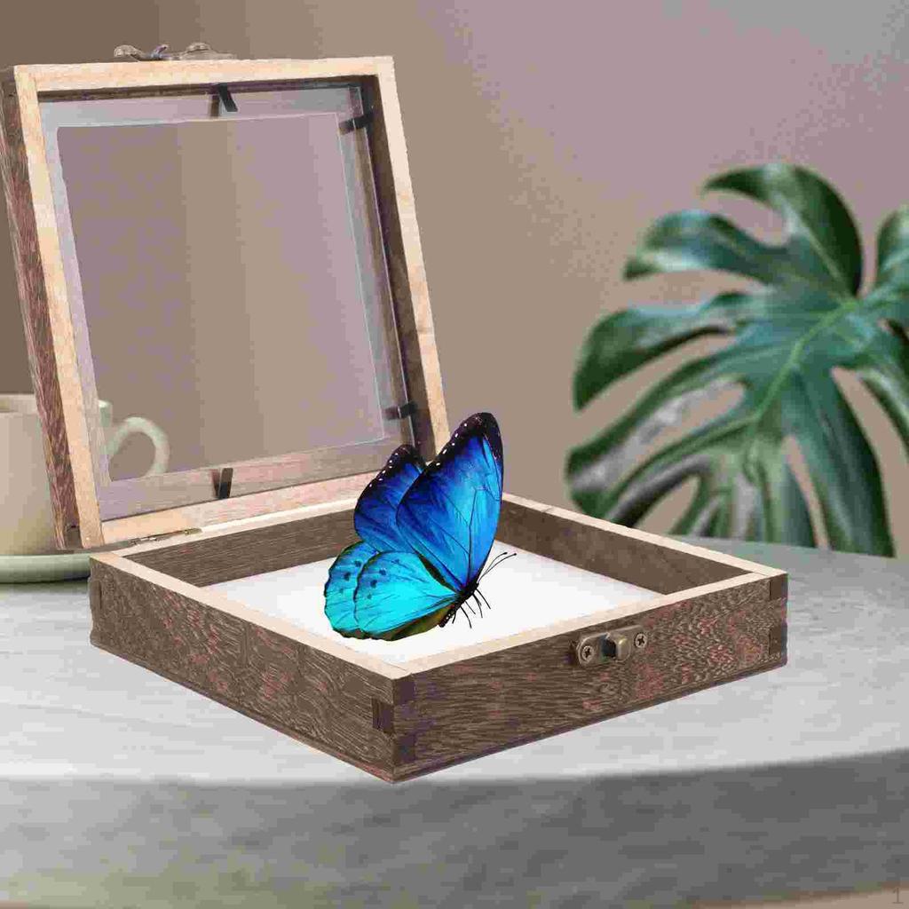 Jewelry Storage Box with Transparent Lid for Small Items Collection