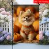 2D Flat - 2D Flat - 2D Flat, 1pc Happy Pomeranian Autumn Sweater Seasonal Garden Flag, Cute Dog Surrounded by Pumpkins Small Yard Flag, Suitable for O