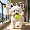 Squeaky Dog Ball Raised Texture Chew Toy Dogs Teeth Cleaning Bite-resistant Relieves Boredom And Anxiety for Puppy Teething Fetch Game Wear-resistant