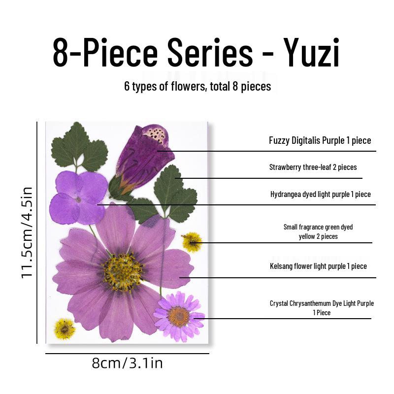 DIY Dried Flower Specimen Sticker Set for Kids: Handmade Pressed Flower Frames & Resin Bookmark Craft Kit