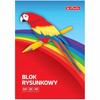 BLOK RYSUNKOWY A4 20K 80G BIAŁY 3663