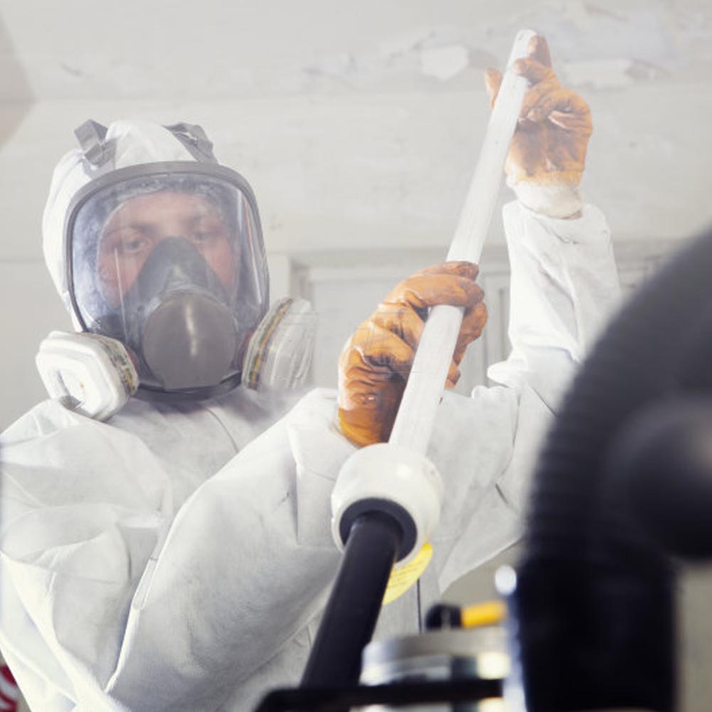 Full Face Cover Facepiece Gas Mask for Painting Welding Disinfection