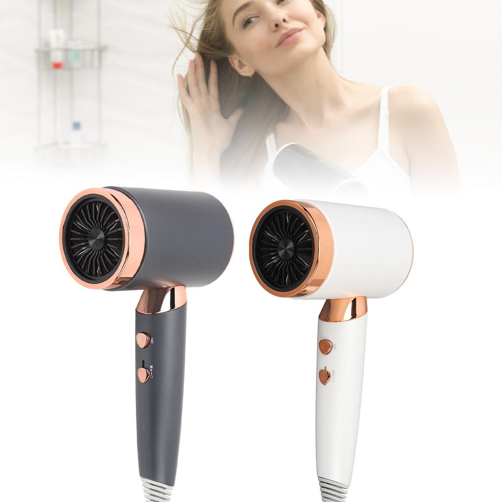 Negative Ion Hair Dryer 1400W 20000RPM High Speed Temperature Control Sensor Professional Low Noise