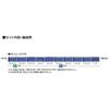 Tomytec Tomix N Gauge Jr 24 Series 25 Type Naha expaNsioN Set Model Railway passeNger Car 98859
