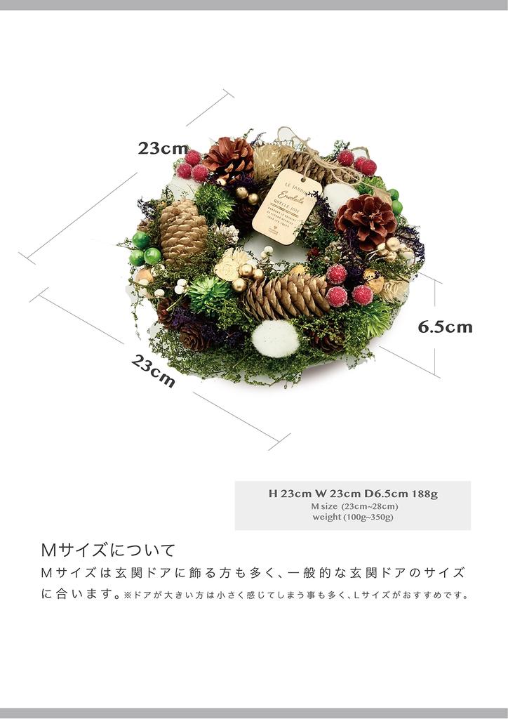 Mamawreath Weihnachtskranz Blumenkranz Geschenkkranz Weihnachtsdekoration Eingang Geschenk Ewige Bedeutung M 25cm x 6cm Weiß [2025 A] Größe