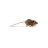 HANSA Brown Mouse No. 5577 12cm
