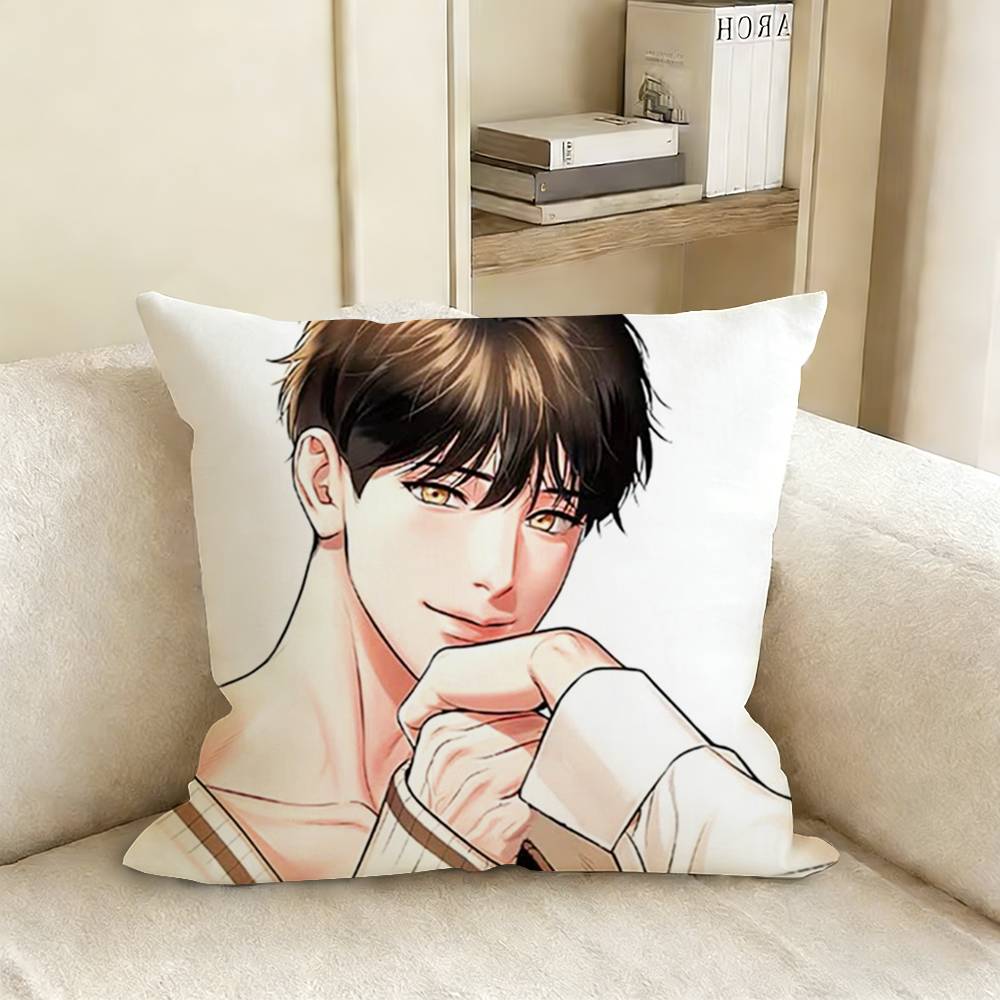 

Anime BBJ AAlexes Various Sizes Square Pillow Case For Car Home Bedchamber Decor 30x30cm
