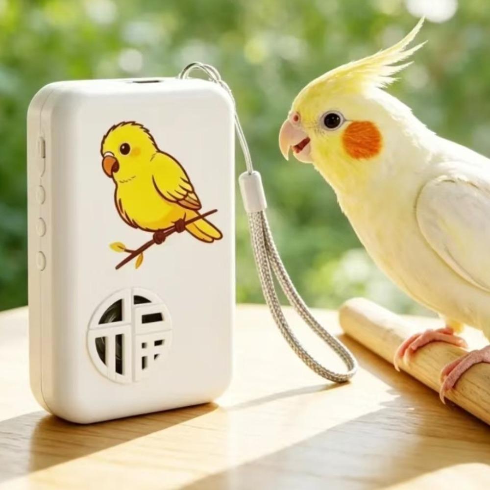 Interactive Bird Talking Trainer Auto Cycle Speech Training Machine Education Purpose