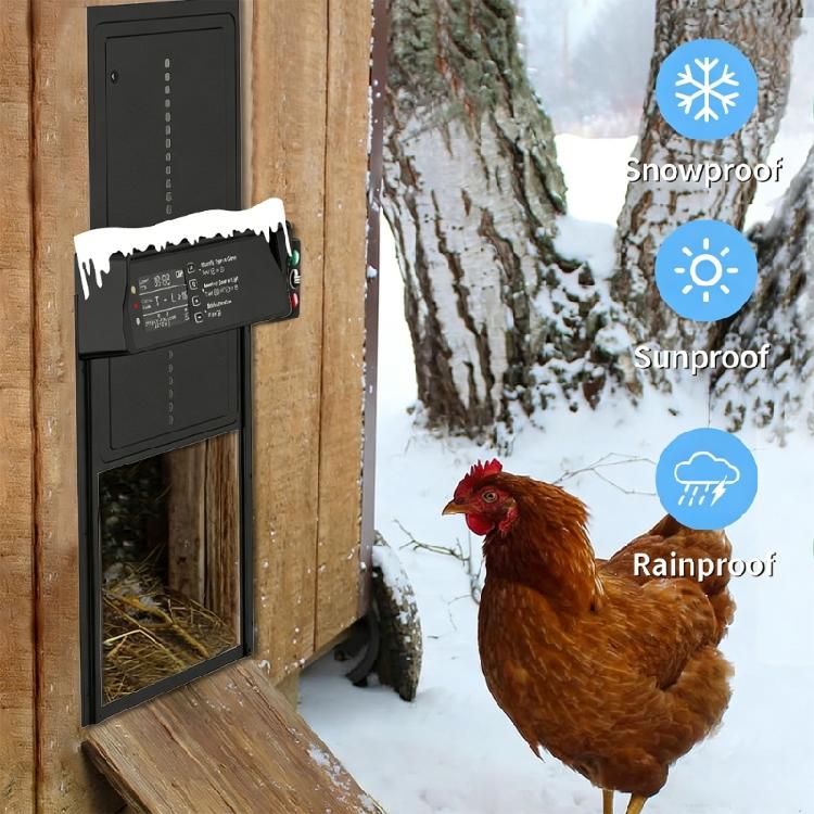 Large LCD Display Automatic Chicken Door with Charging Light sensors Remote Safety Aluminum