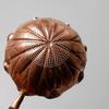 Gongfu Tea Accessory Decorative Teaware Compact