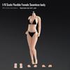 Fremego 1/6 Scale Female Action Body Steel Frame Super Flexible Seamless Large Bust 12-Inch Doll