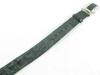 [Pelgio] Crocodile Leather Belt, Black, Auto-Stopper