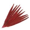 Colorful Pheasant Feathers Table Centerpieces Handicraft Accessories 25-30Cm Natural Plumes Diy Headdress Decoration