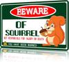 Beware Of Squirrel Metal Tin Sign Funny Squirrel Sign Gifts for Squirrel Lovers Wall Decor Sign Squirrel Tin Signs