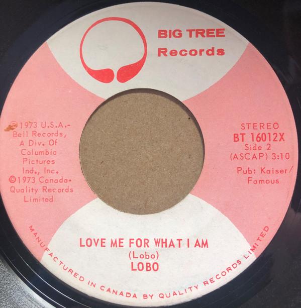 7-дюймовая пластинка LOBO There Aint No Way Love Me For Wh BT16012X Big Tree Record 1973 Канада Рок Б/у