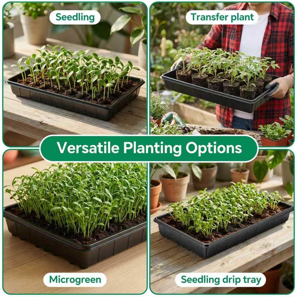 10 Pc Trays,Plant Tray, Seed Tray, Seedling Tray, Propagation Tray, Plant Trays For Seedlings, Planting Trays, Seedling Starter Tray(No Drain Holes)