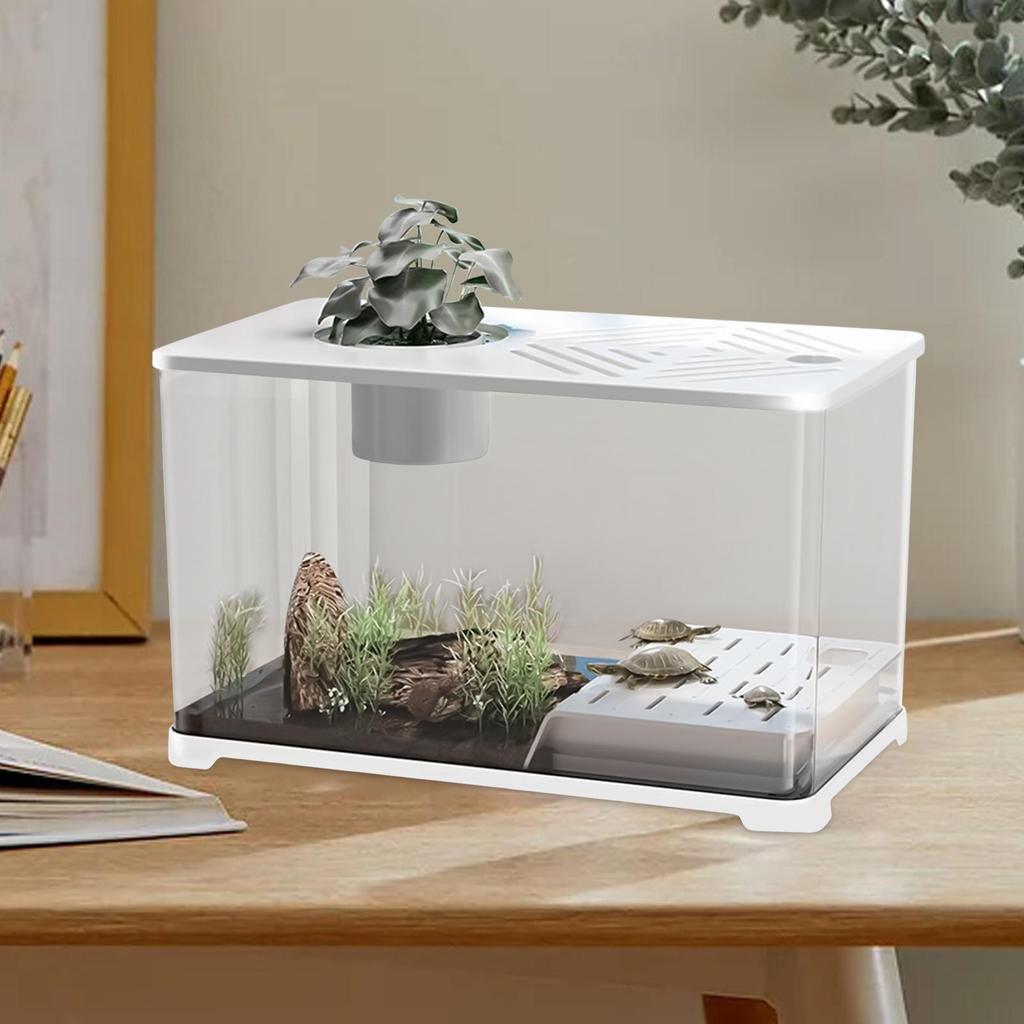 Betta Fish Tank Desktop Large Fish Tank Aquarium Modern Container With Turtle Resting Area Home Decorations For Betta Shrimp