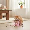 Large Diameter Stainless Steel Cat Bowl Detachable Feeding Bowl Pet High Footed Bowl  Pet Feeding