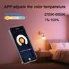Tuya Smart WiFi LED Light Bulbs 85-265V 9W 12W Alexa LED Lamp RGB Smart Life APP Google Assisatnt Voice Control