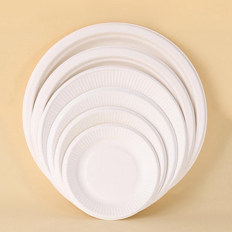 ZISIZ Disposable Paper Plates