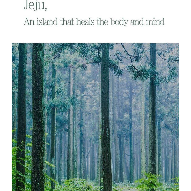 Pretty Skin - The Pure Jeju Cica Cleansing Foam