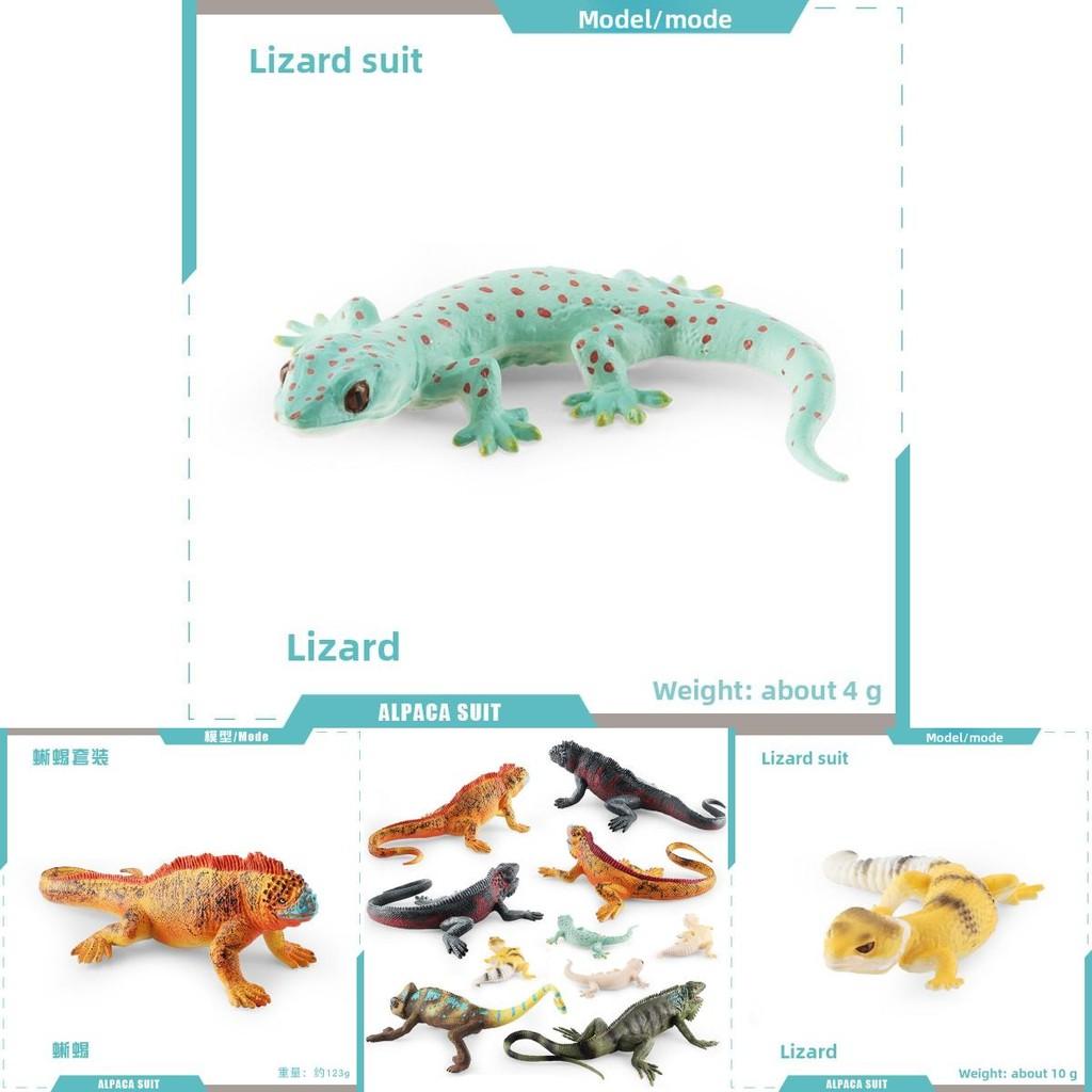 Realistic Reptile Lizard Chameleon Model With Assembleable Chameleon And Gecko Figures For Collectors And Kids
