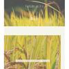I'm from - Rice Toner Special Set