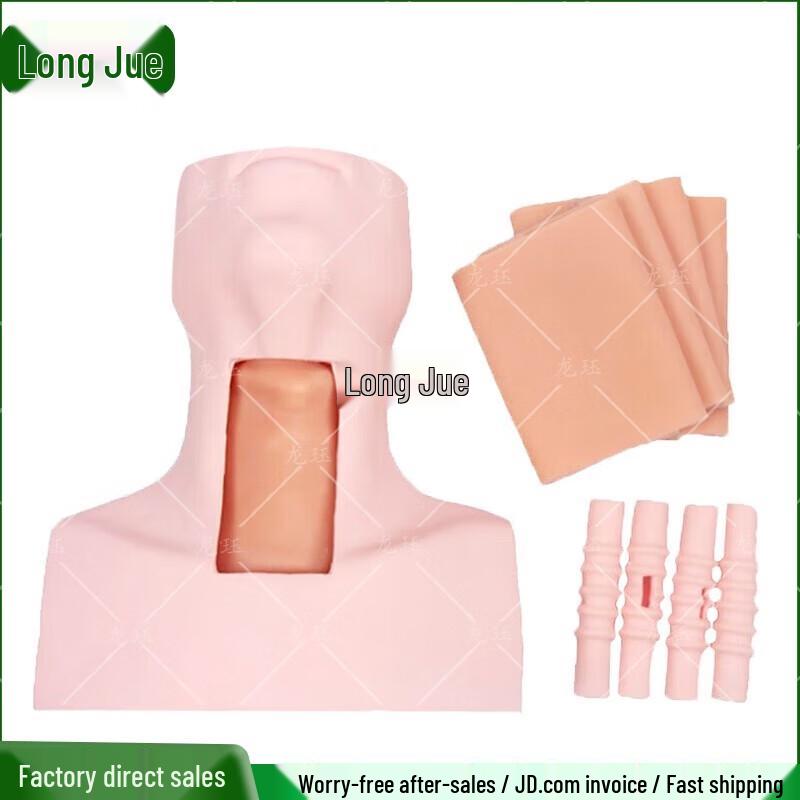 Cricothyrotomy and Intubation Training Model