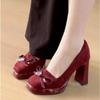 2026 Spring Heels for Ladies Square Toe Platform Women Mary Jane Shoes Shallow Slip On Ladies Elegant Thick Heel Dress Pumps
