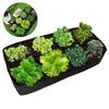 Multi-Pocket Felt Planting Bag for Garden & Vegetables (8 & 4 Pockets)