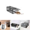 Hassle-free Iron Mouse Trap Control Catcher Easy To Set Up And Effective Pest Control