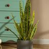 1 Stück Sansevieria Gartenblätter Büro Künstlich Tiger Piran Zuhause Tropisch Laden Dekor Falsche Pflanzen Echte Haptik Kunststoff