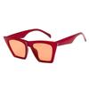 New Brand Sunglasses Square Glasses Personalized Cat Eyes Colorful Sun Glasses UV400 For Women Men Shades