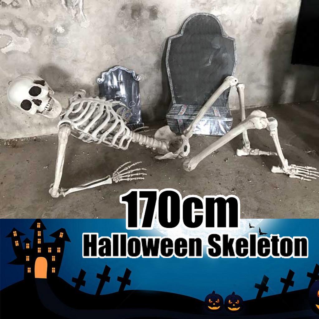Halloween Skeleton Prop Human Full Size  Hand Life Body Anatomy Model Decor