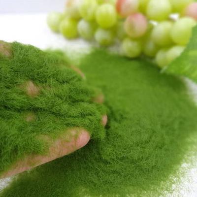 Garden Craft Micro Landscape Decoration DIY Accessories Artificial Grass Powder Artificial Moss