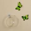Glasvase, Wandbehang, Hydrokultur, Terrarium, Fischtanks, Topfpflanze, Blumentopf