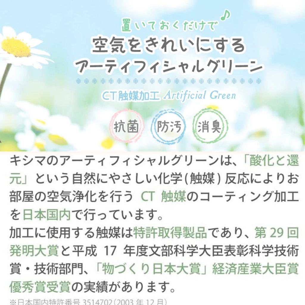 Kishima Artificial Fake Artificial Flower Air Sugar M Size Plant, Green, Non-Wilting Green, Catalyst, Deodorizing, Antibacterial, Purifying, Pine,