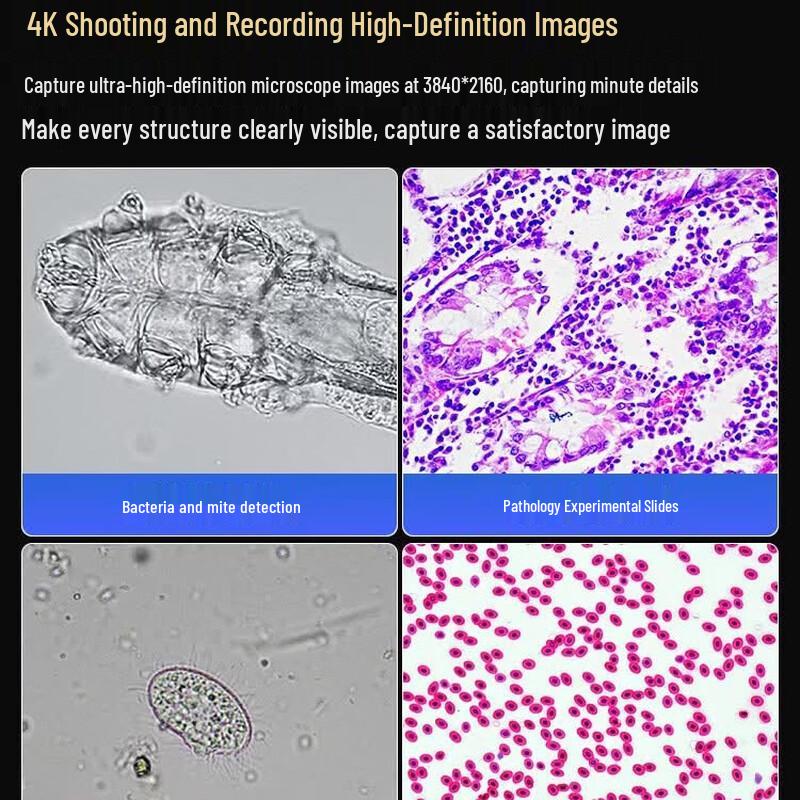 AOSVI Research Biological Microscope