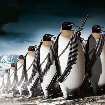 Bordado Diamante 5d Pingüino Equipo Arte Diamante Hobby Mascota Punto de Cruz Pintura Diamante
