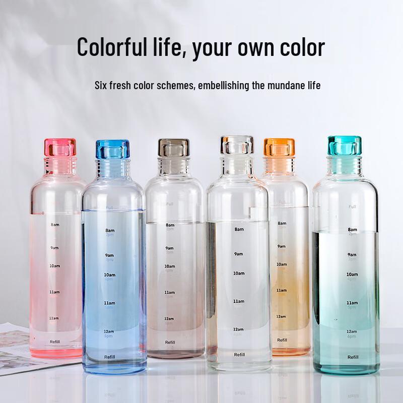 Portable High Borosilicate Glass Water Bottle